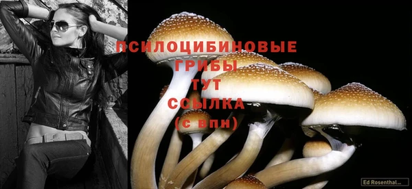 дживик Михайловка