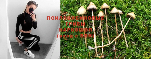 ECSTASY Михайловск