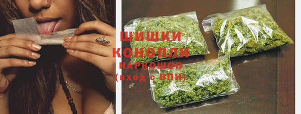 спиды Пионерский