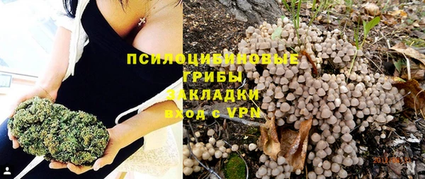 дживик Михайловка