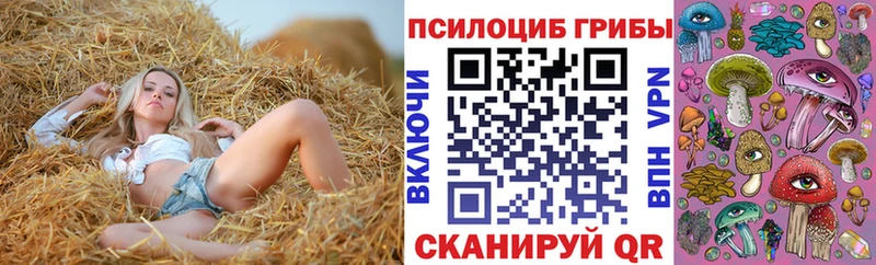 Галлюциногенные грибы мицелий  Сысерть 
